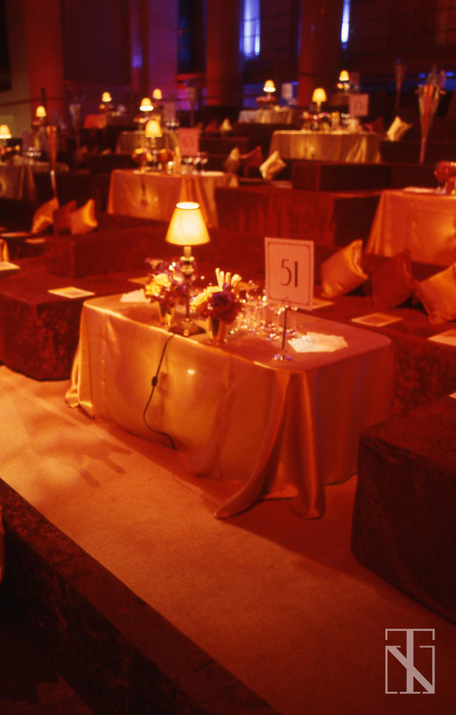 Everyone’s a VIP! New York, an event designed by Tom Noel, photo 2
